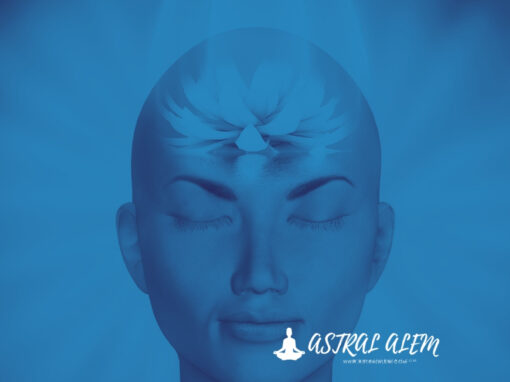 Ho Oponopono Nedir Nasıl Uygulanır?